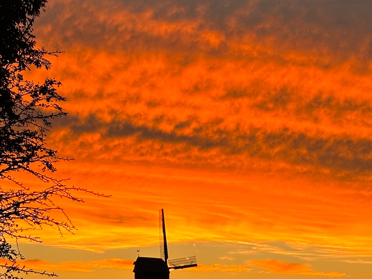 De seizoensgroenten van oktober