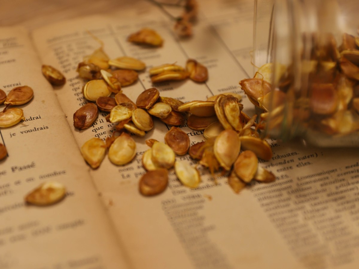 DIY geroosterde pompoenpitten