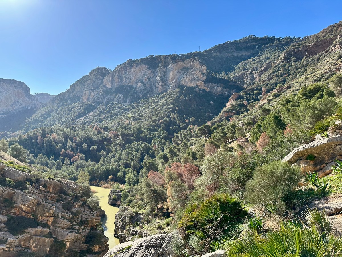 Studiereis door Andalusië als Culinary Arts student