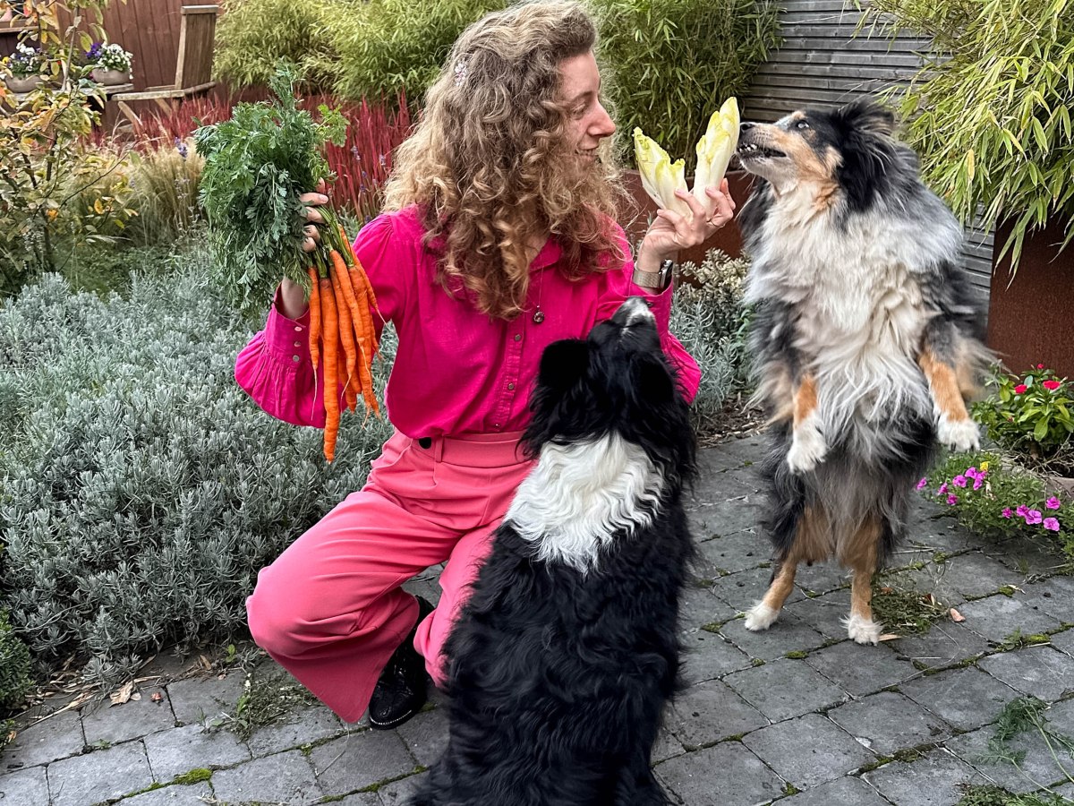 5 herfstgerechten die klaar zijn in 30 minuten